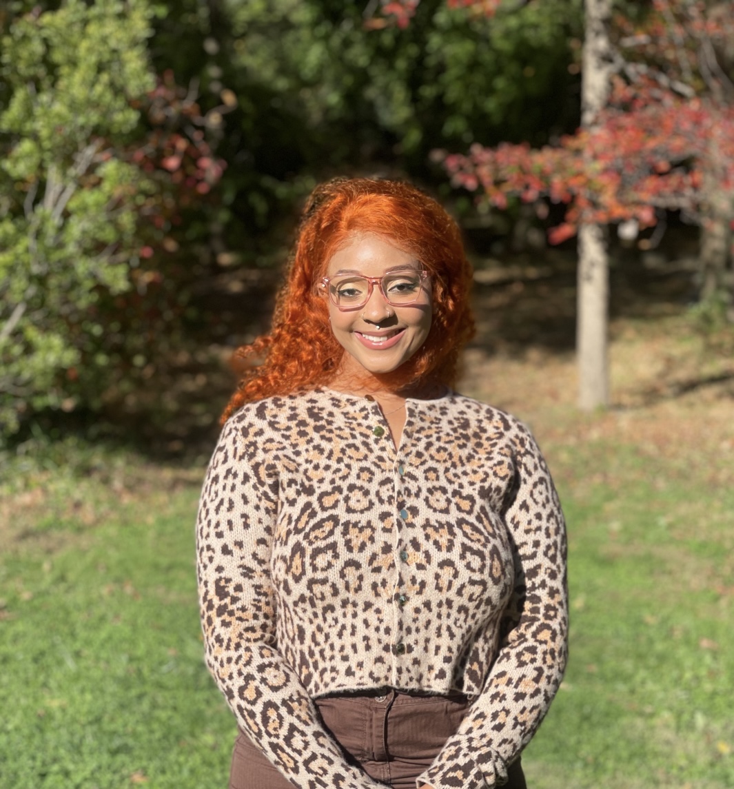 Counselor Website Design